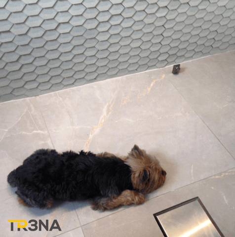 Ralo Square Inox (210) base PVC com tampa inox 15X15 RALO LINEAR