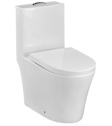 Bacia com Caixa Acoplada e Assento Estilo Link importada Branco Delphus