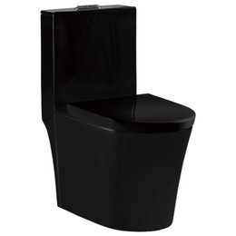 Bacia com Caixa Acoplada e Assento Estilo Link importada preto brilho Delphus