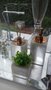 Conjunto para Lavabo Madreperola com Tampa Rose Gold
